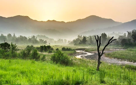 best time visit rajaji