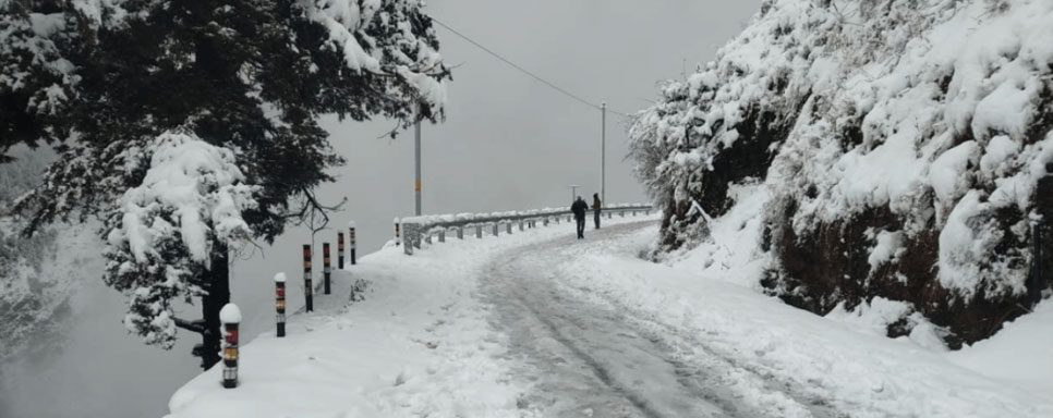 dhanaulti tour