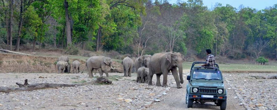 rajaji tour