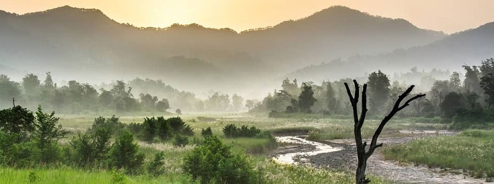 rishikesh to rajaji tour