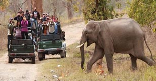 rajaji tour packages